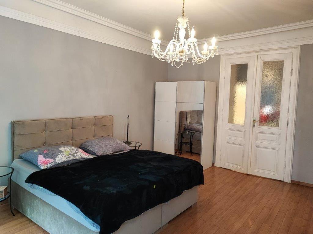 Central Vienna Apartment With Unique 40M2 City Garden & Self Check In Kültér fotó